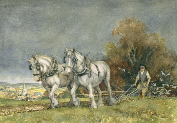 Autumn Ploughing