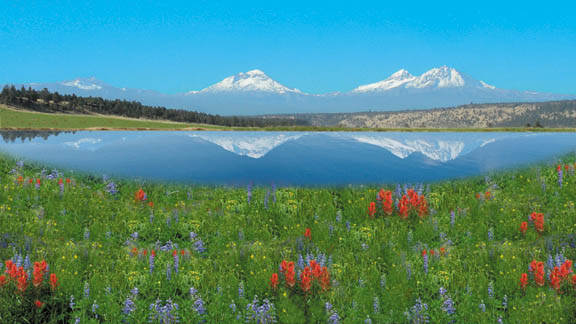 Golden Trout Lake