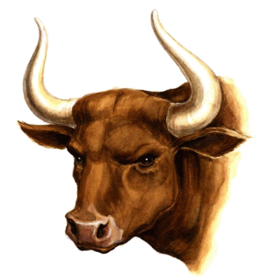 Bull horns