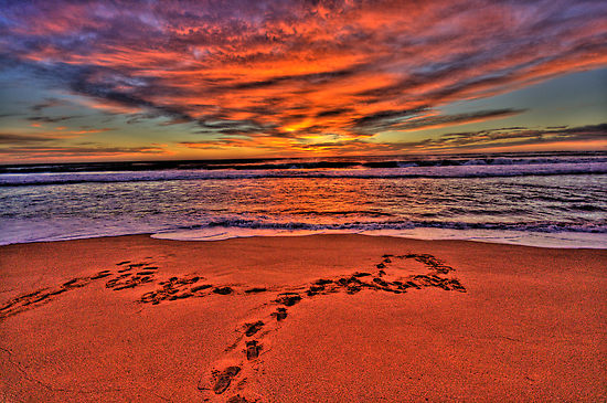 Footprints in the sand