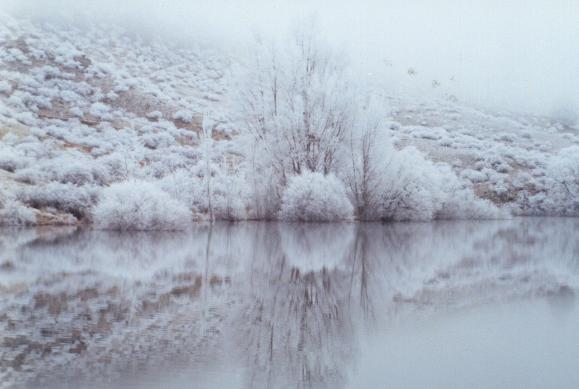 Hoarfrost