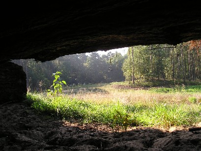 Observation place