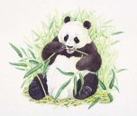 Eating Gigant Panda Eating Gigant Panda