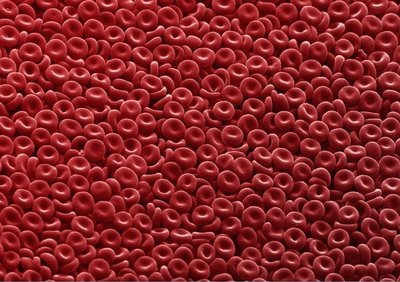 Red blood-cells