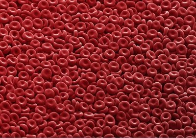 Red blood-cells